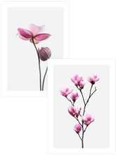 Flower Power - Poster Seti Duo